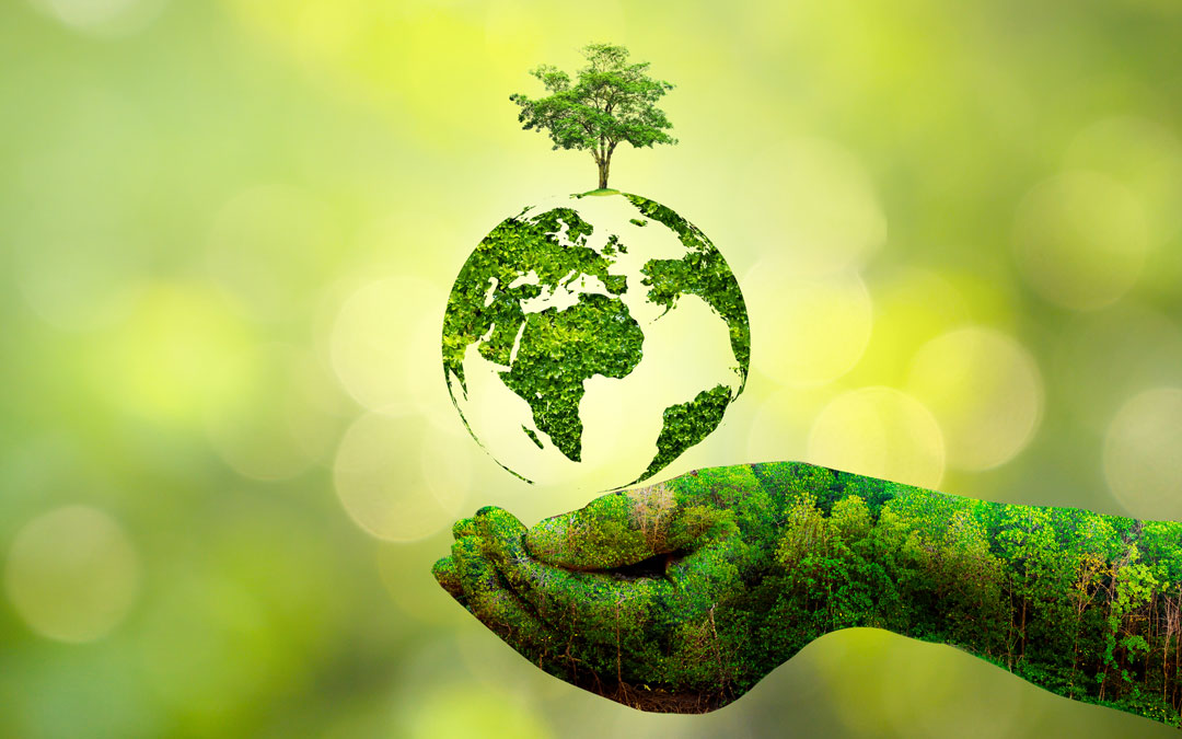 Eco Friendly